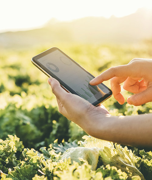 tecnologias-agropecuarias tecnologias-agropecuarias