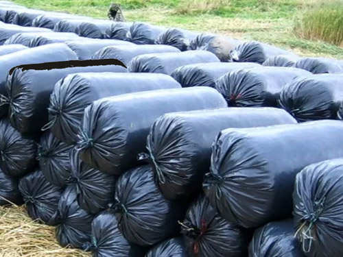 plasticultura (3)